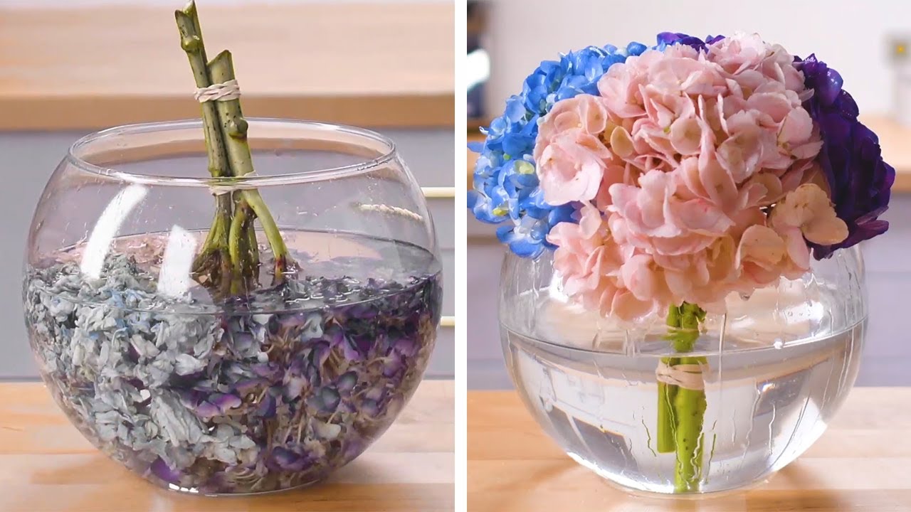 10 Hacks to Breath New Life Into These Everyday Items! Blossom